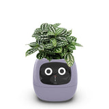 BloomBuddy™ Smart Planter