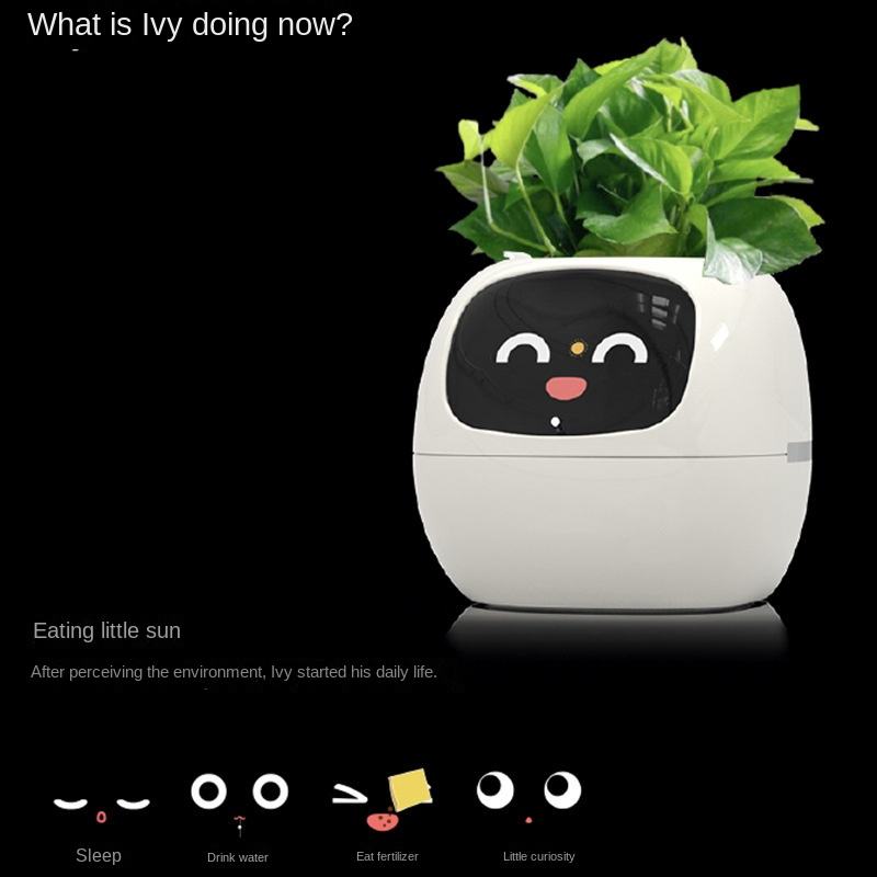 BloomBuddy™ Smart Planter