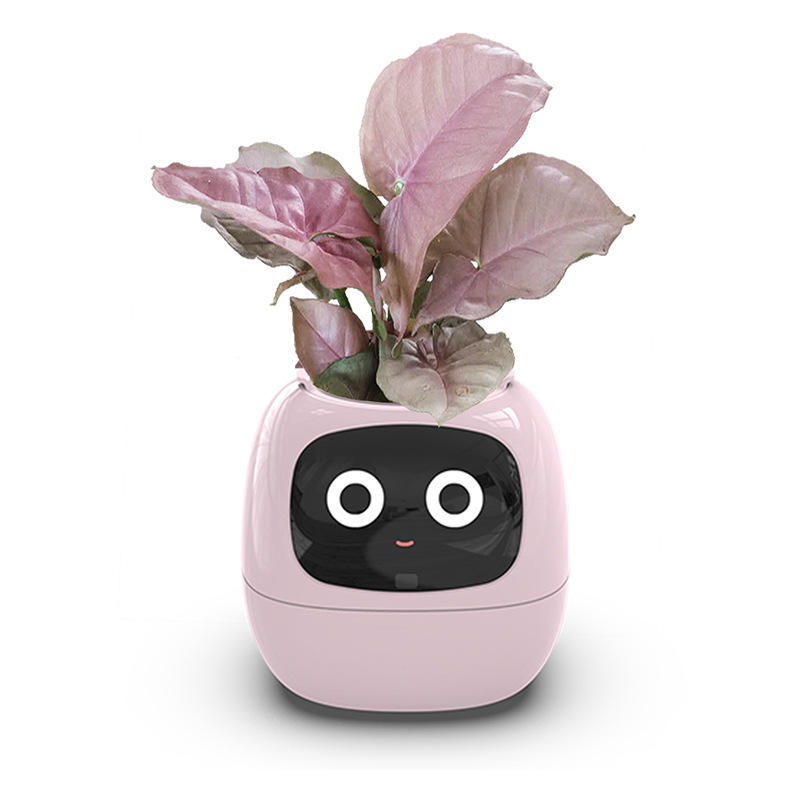 BloomBuddy™ Smart Planter